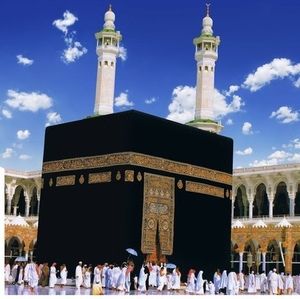 Meet your Posher, Hamida